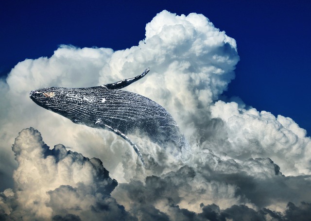 クジラが空を飛んでいる（空を泳いでいるような）夢占い